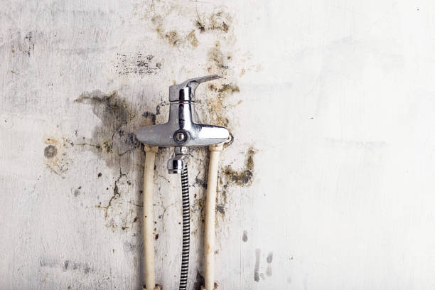 Best HVAC Mold Remediation in Raymond, WI