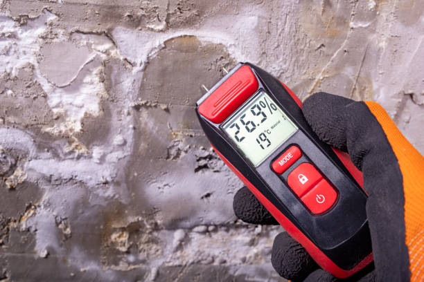 Best Residential Mold Remediation in Raymond, WI