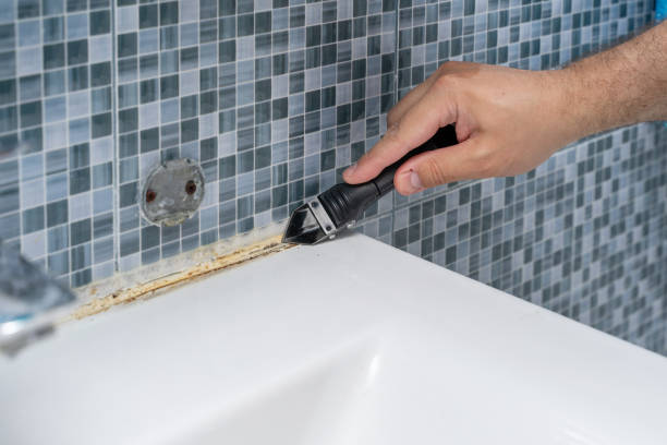 Best Residential Mold Remediation in Raymond, WI
